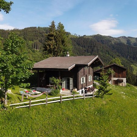 Bauernhof Auhof Lägenhet Wagrain Exteriör bild