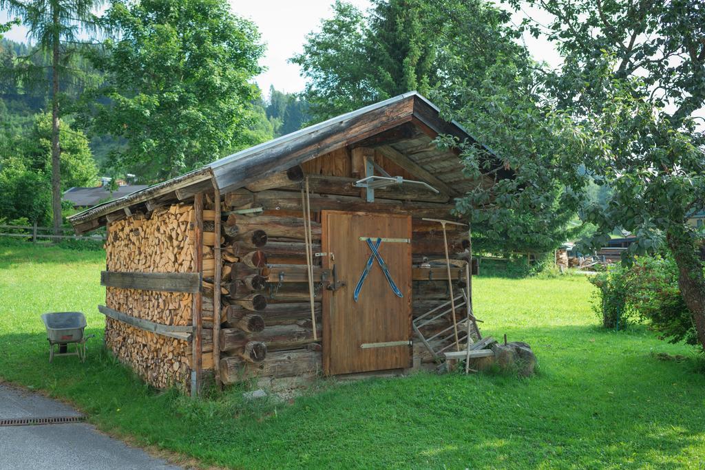 Bauernhof Auhof Lägenhet Wagrain Exteriör bild