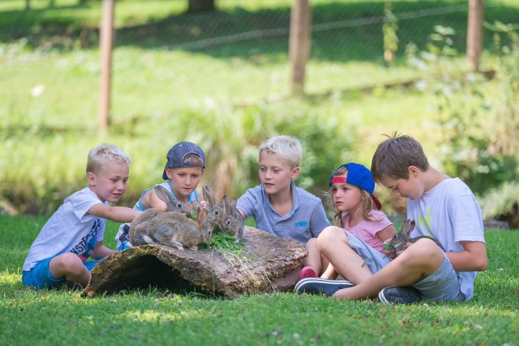 Bauernhof Auhof Lägenhet Wagrain Exteriör bild