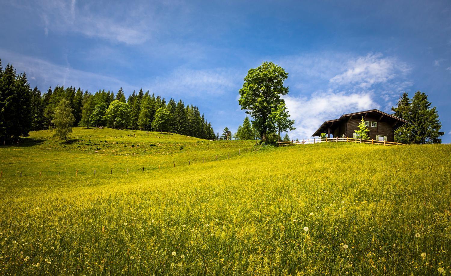 Bauernhof Auhof Lägenhet Wagrain Exteriör bild