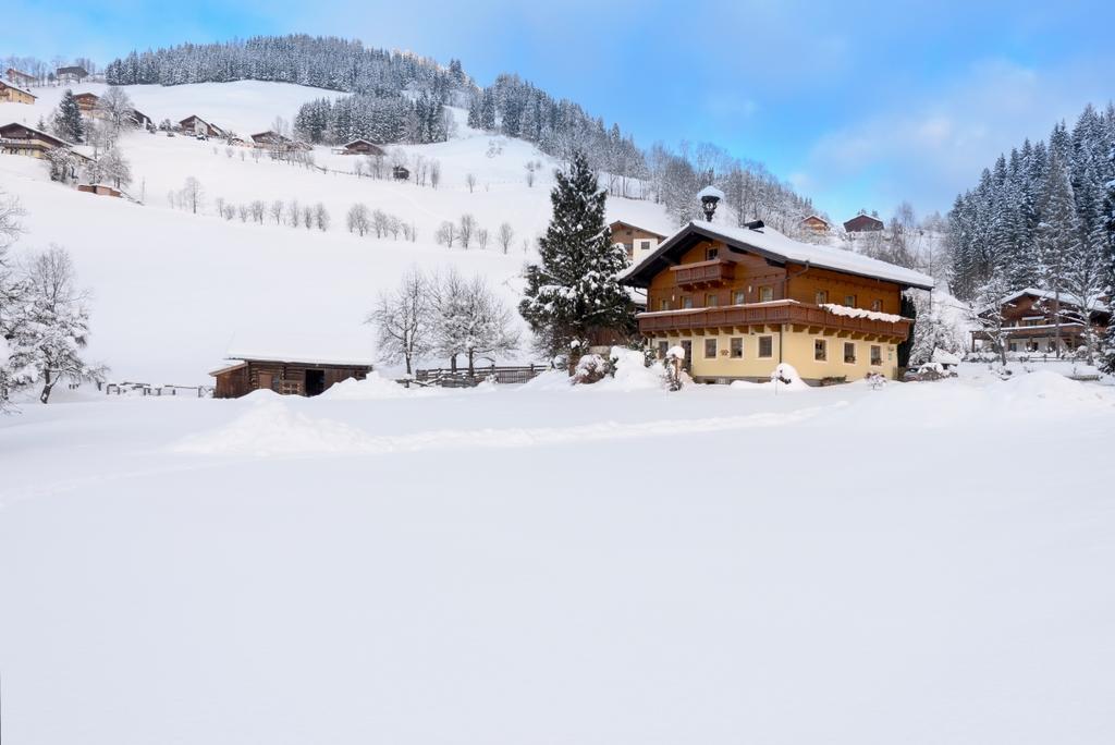 Bauernhof Auhof Lägenhet Wagrain Exteriör bild